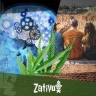 Heim-Drogentest - Zativo
